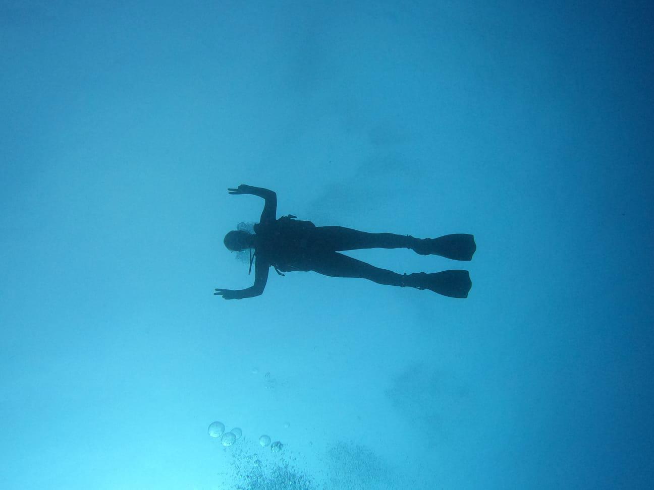 Diving